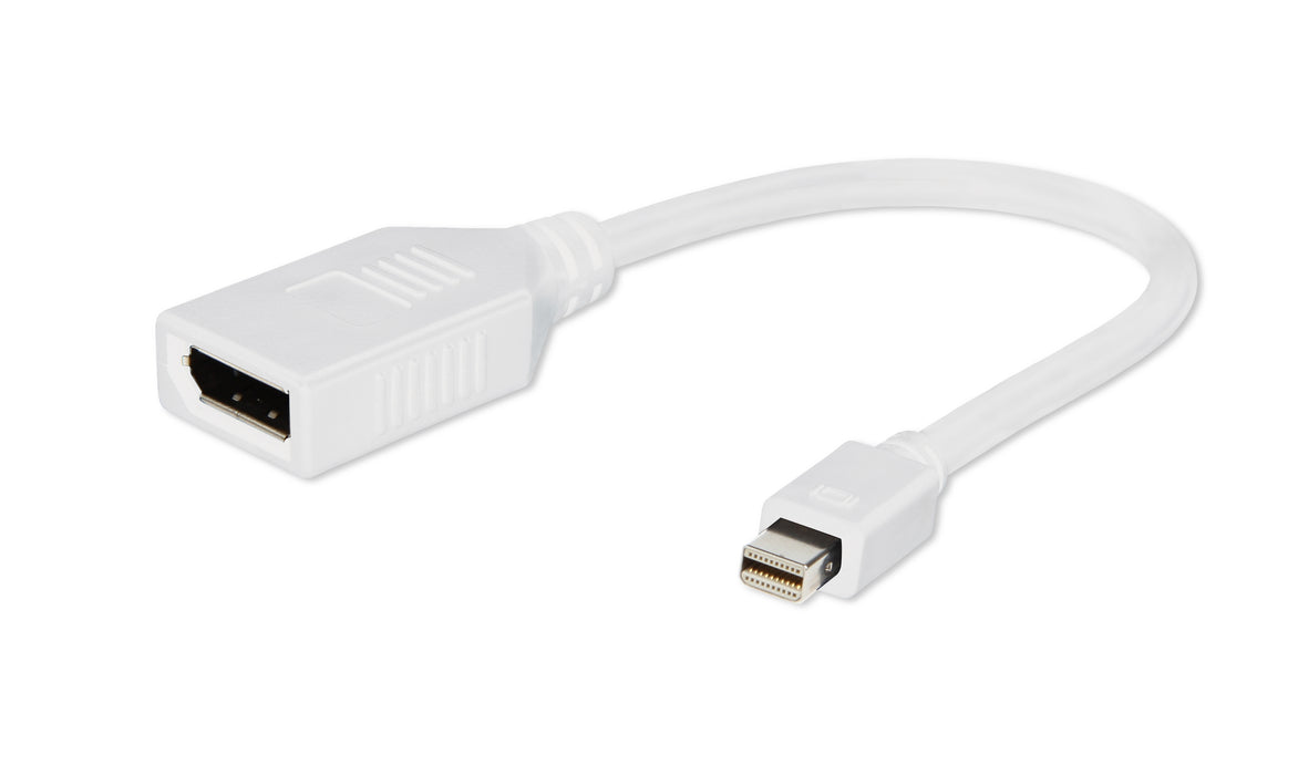 Mini DisplayPort To DisplayPort Adapter - CB-DP-MINDP/ADPT